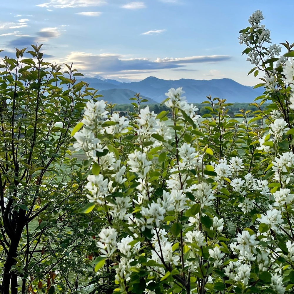 Meet your Posher, Kaley